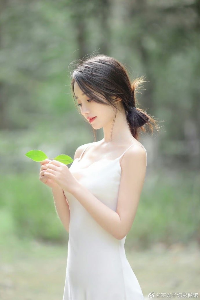 绝命毒师 封面